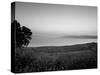 Sea of Galilee, Israel-Jon Arnold-Stretched Canvas