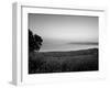 Sea of Galilee, Israel-Jon Arnold-Framed Premium Photographic Print