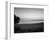 Sea of Galilee, Israel-Jon Arnold-Framed Photographic Print