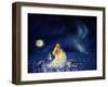 Sea Of Stars-Kirk Reinert-Framed Giclee Print