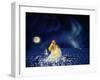 Sea Of Stars-Kirk Reinert-Framed Giclee Print