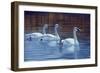 Sea of Tranquility-Rusty Frentner-Framed Giclee Print