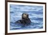 Sea Otter, Alaska-Paul Souders-Framed Photographic Print