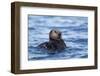 Sea Otter, Alaska-Paul Souders-Framed Photographic Print