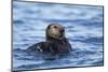 Sea Otter, Alaska-Paul Souders-Mounted Photographic Print