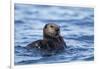 Sea Otter, Alaska-Paul Souders-Framed Photographic Print