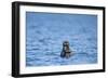 Sea Otter and Pup, Alaska-Paul Souders-Framed Photographic Print