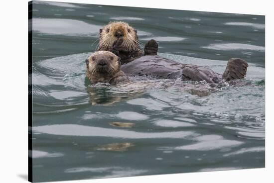 Sea otter and pup, Icy Strait, Alaska, USA-Art Wolfe-Stretched Canvas