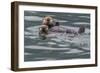 Sea otter and pup, Icy Strait, Alaska, USA-Art Wolfe-Framed Photographic Print