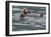 Sea otter and pup, Icy Strait, Alaska, USA-Art Wolfe-Framed Photographic Print