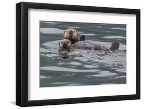 Sea otter and pup, Icy Strait, Alaska, USA-Art Wolfe-Framed Premium Photographic Print