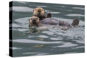 Sea otter and pup, Icy Strait, Alaska, USA-Art Wolfe-Stretched Canvas