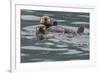 Sea otter and pup, Icy Strait, Alaska, USA-Art Wolfe-Framed Premium Photographic Print