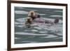 Sea otter and pup, Icy Strait, Alaska, USA-Art Wolfe-Framed Premium Photographic Print