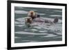 Sea otter and pup, Icy Strait, Alaska, USA-Art Wolfe-Framed Premium Photographic Print