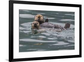 Sea otter and pup, Icy Strait, Alaska, USA-Art Wolfe-Framed Premium Photographic Print