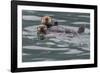 Sea otter and pup, Icy Strait, Alaska, USA-Art Wolfe-Framed Photographic Print