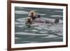 Sea otter and pup, Icy Strait, Alaska, USA-Art Wolfe-Framed Photographic Print