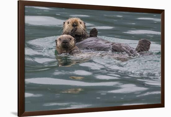 Sea otter and pup, Icy Strait, Alaska, USA-Art Wolfe-Framed Photographic Print