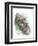 Sea Otter Enhydra Lutris Resting with Cub in Water-null-Framed Premium Giclee Print