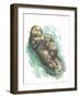 Sea Otter Enhydra Lutris Resting with Cub in Water-null-Framed Giclee Print