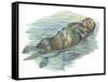 Sea Otter Enhydra Lutris Sleeping in Water-null-Framed Stretched Canvas