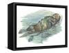 Sea Otter Enhydra Lutris Sleeping in Water-null-Framed Stretched Canvas