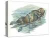 Sea Otter Enhydra Lutris Sleeping in Water-null-Stretched Canvas