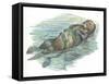 Sea Otter Enhydra Lutris Sleeping in Water-null-Framed Stretched Canvas