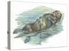 Sea Otter Enhydra Lutris Sleeping in Water-null-Stretched Canvas