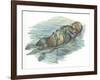 Sea Otter Enhydra Lutris Sleeping in Water-null-Framed Giclee Print