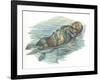 Sea Otter Enhydra Lutris Sleeping in Water-null-Framed Giclee Print