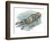 Sea Otter Enhydra Lutris Sleeping in Water-null-Framed Giclee Print