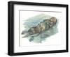 Sea Otter Enhydra Lutris Sleeping in Water-null-Framed Giclee Print