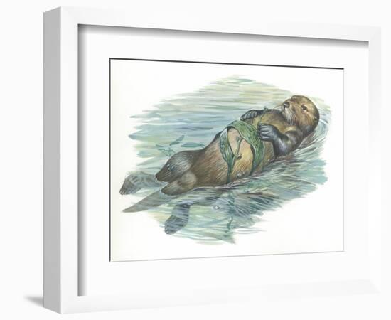 Sea Otter Enhydra Lutris Sleeping in Water-null-Framed Giclee Print