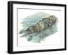 Sea Otter Enhydra Lutris Sleeping in Water-null-Framed Giclee Print