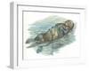 Sea Otter Enhydra Lutris Sleeping in Water-null-Framed Giclee Print