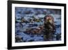 Sea Otter Floating in Kelp-DLILLC-Framed Photographic Print