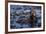 Sea Otter Floating in Kelp-DLILLC-Framed Photographic Print