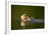 Sea Otter in Afognak Bay at Kodiak Island-Paul Souders-Framed Photographic Print