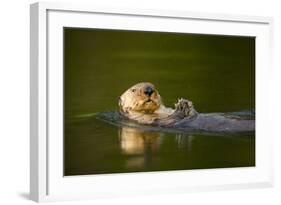 Sea Otter in Afognak Bay at Kodiak Island-Paul Souders-Framed Photographic Print