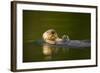 Sea Otter in Afognak Bay at Kodiak Island-Paul Souders-Framed Photographic Print