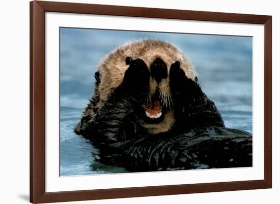 Sea Otter (In Water)-null-Framed Photo