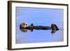 Sea Otter Relaxing-Lantern Press-Framed Art Print