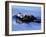 Sea Otter with Offspring-Lynn M^ Stone-Framed Premium Photographic Print