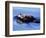 Sea Otter with Offspring-Lynn M^ Stone-Framed Photographic Print