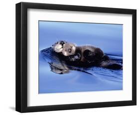 Sea Otter with Offspring-Lynn M^ Stone-Framed Photographic Print