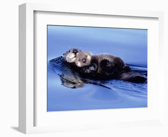 Sea Otter with Offspring-Lynn M^ Stone-Framed Photographic Print