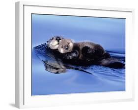 Sea Otter with Offspring-Lynn M^ Stone-Framed Photographic Print
