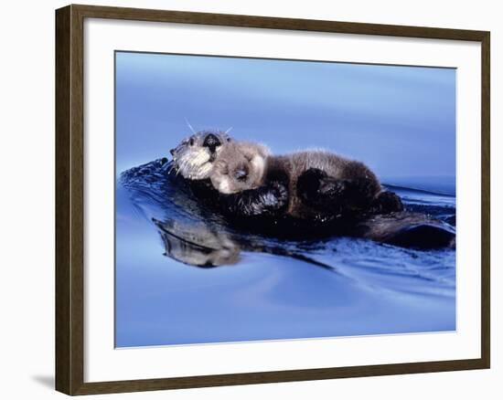 Sea Otter with Offspring-Lynn M^ Stone-Framed Photographic Print